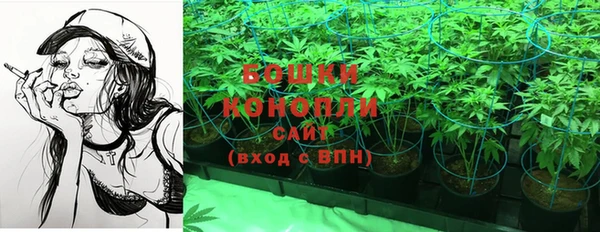 мдпв Верея