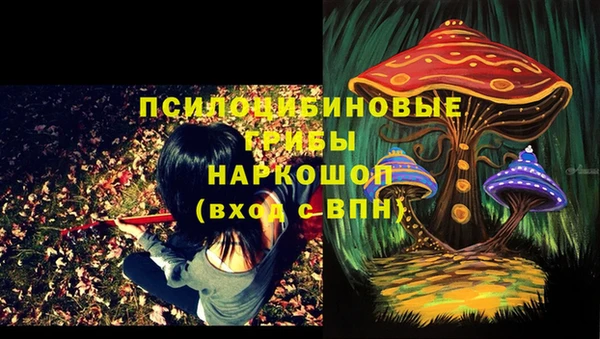 мдпв Верея