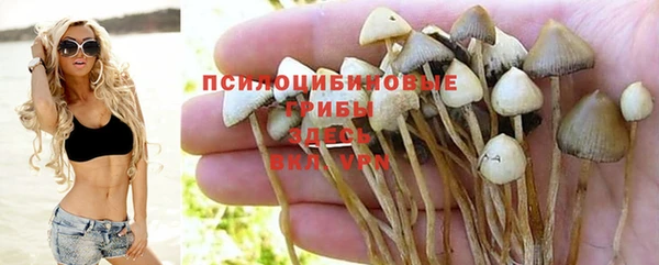 герыч Володарск