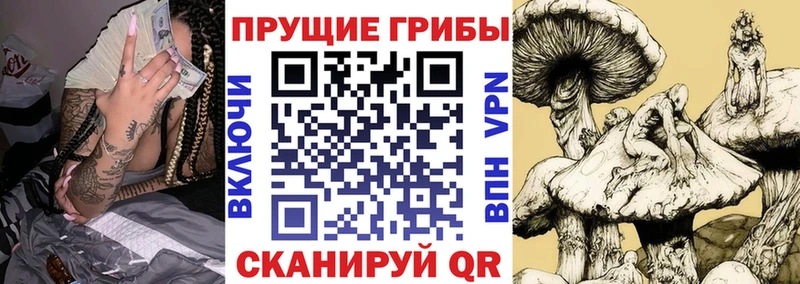 kraken вход  Орехово-Зуево  Галлюциногенные грибы GOLDEN TEACHER  купить наркоту 